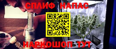 гидропоника Тара